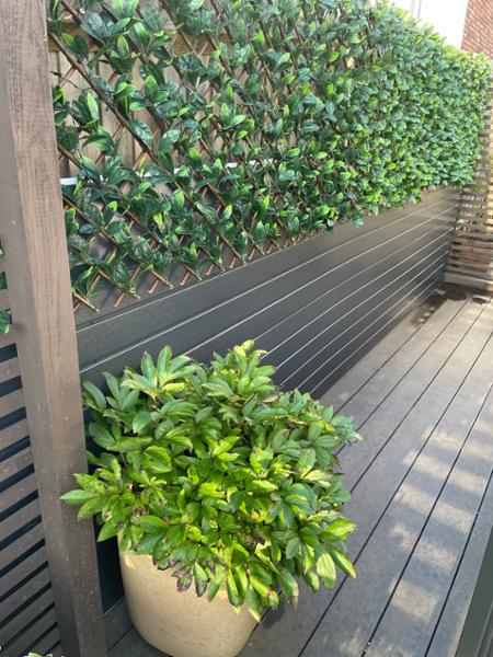 Garden wall design
