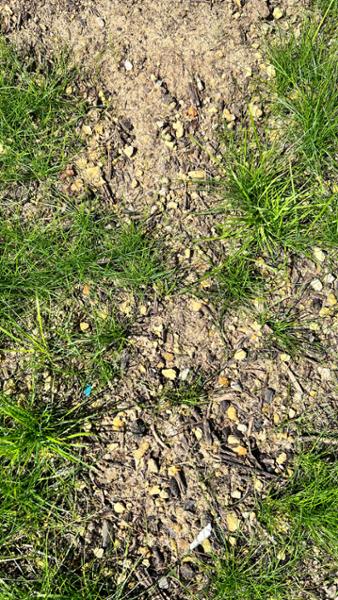 Topsoil