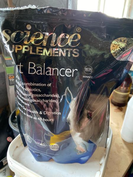 Gut balancer