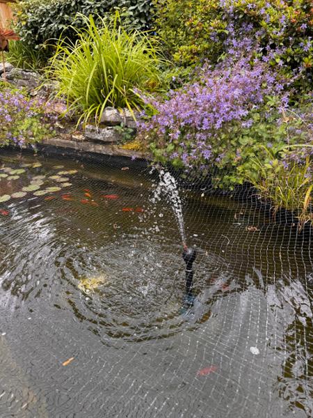 Bradshaws direct for all your pond needs
