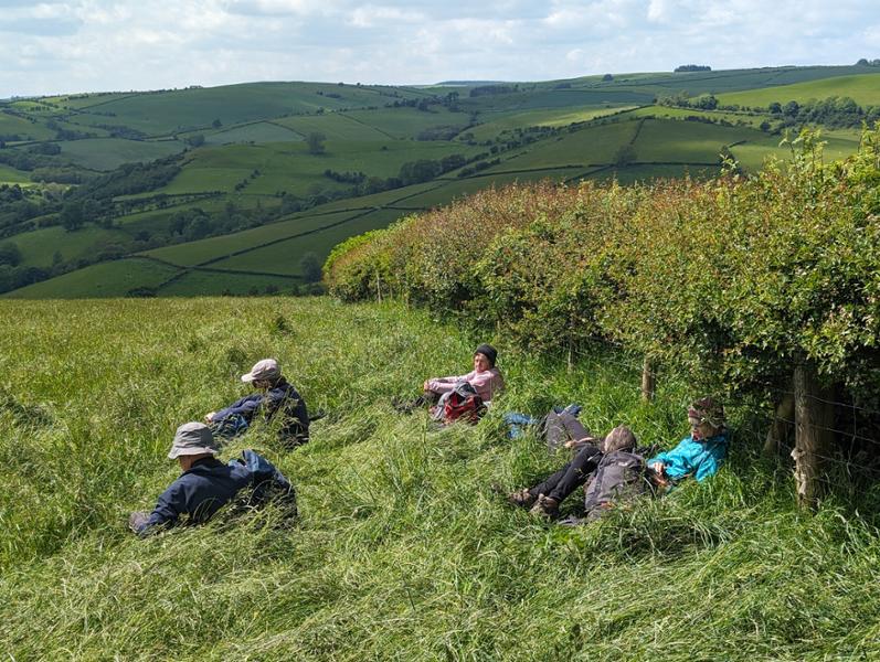 Shropshire Hills