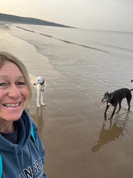 Happy Hounds