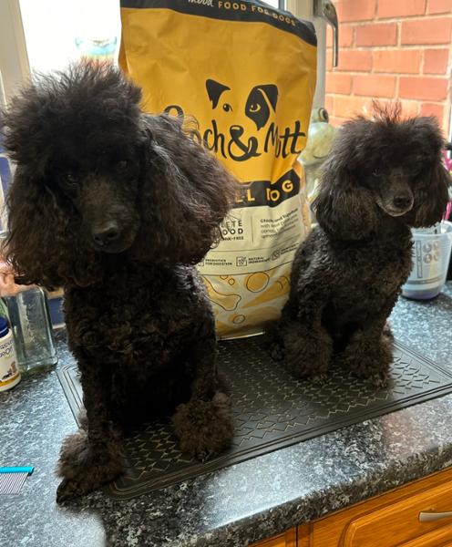 Pooch & Mutt great. DPD not great.