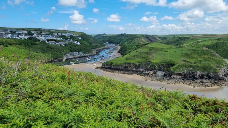 St Davids to Milford Haven Walk