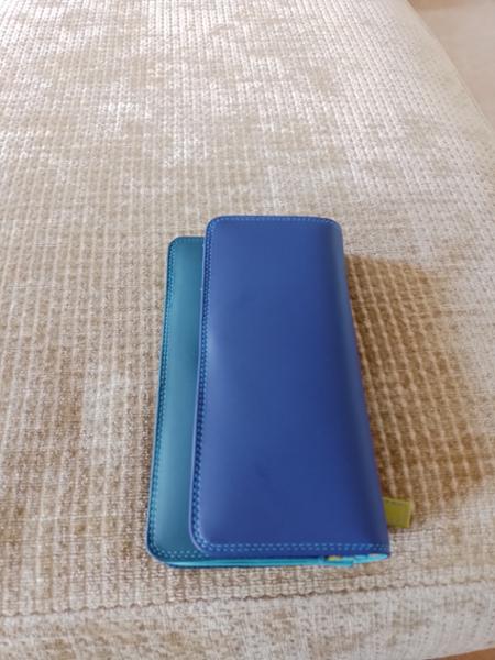 New purse June 2024