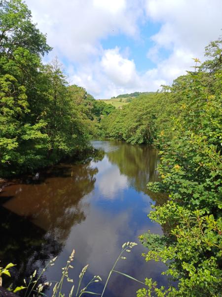 An undemanding but pleasant walk for older walkers.
