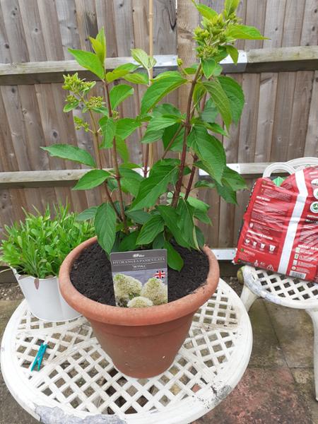 Local Garden Centre selling 1st class produce,