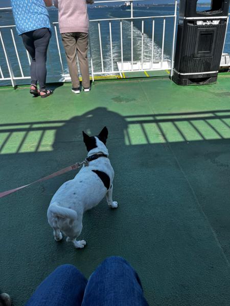 First voyage with red funnel