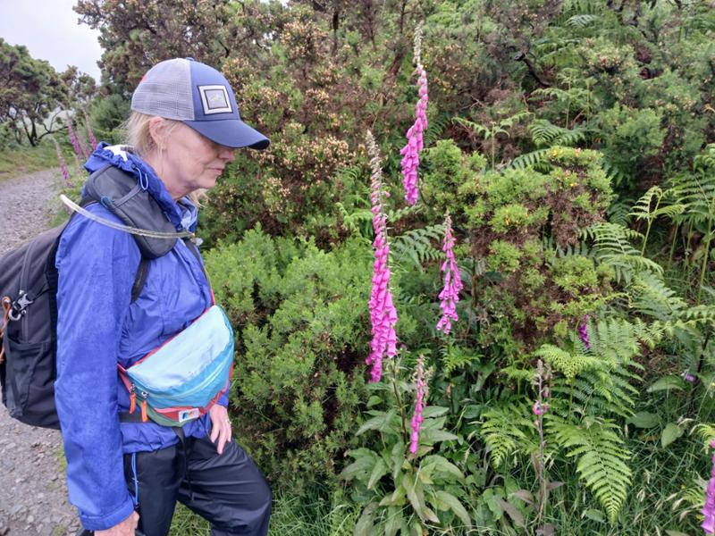 Great Cumbrian walk/hike
