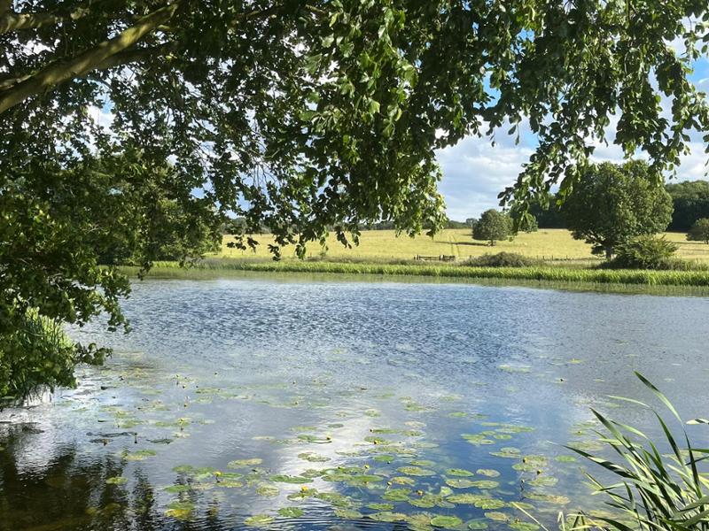 Beautiful location excellent accommodation would book again