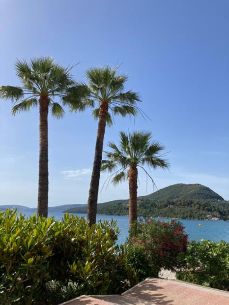 Great holiday in Nidri at the Palm Trees Hotel!