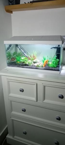 Great seller.