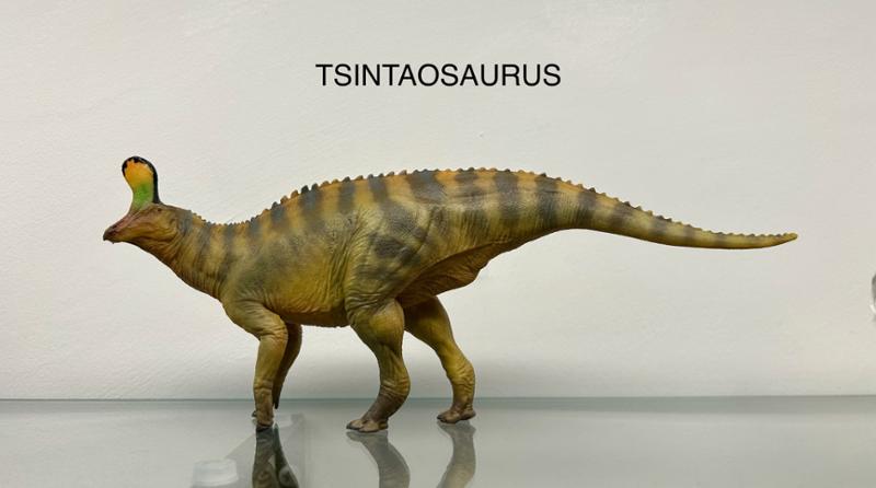 Everything Dinosaur - the discovery of a lifetime. Long may they continue.