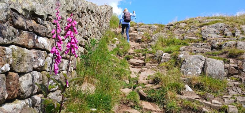 The Hadrians Wall walk package was great!