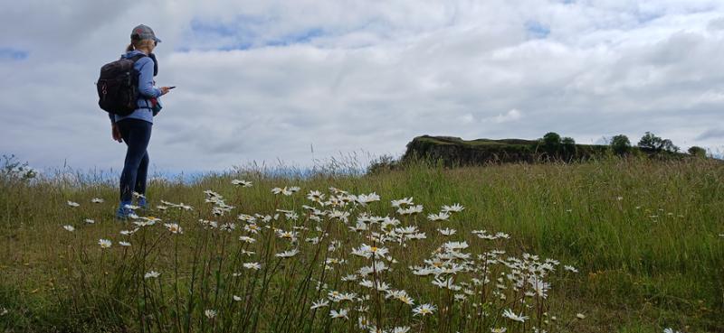 The Hadrians Wall walk package was great!