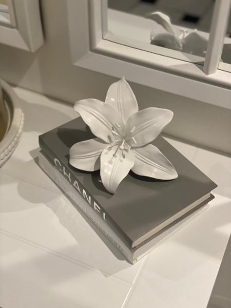 White lily flower is so beautiful and stylish