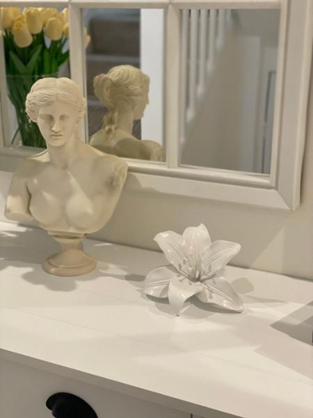 White lily flower is so beautiful and stylish
