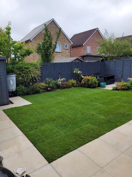10m2 Rolawn Medallion Turf 1m2 Rolls - Premium Lawn Turf 1m2 rolls from only £5.65 - £11.75