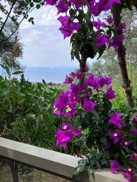 Such a lovely stay !