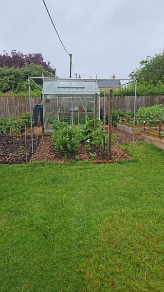 Perfect greenhouse in every way!