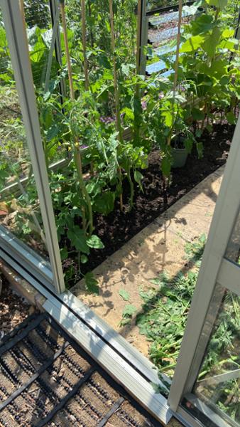 Perfect greenhouse in every way!