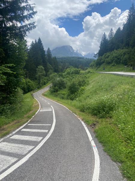Great company, great service, great cycling