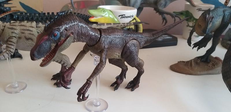 Such a awsome online store for your dino needs