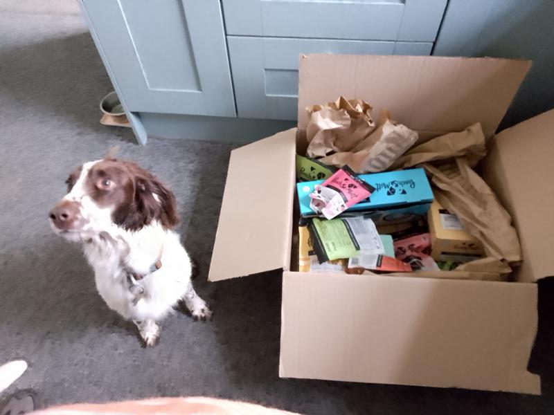 Excellent Delivery