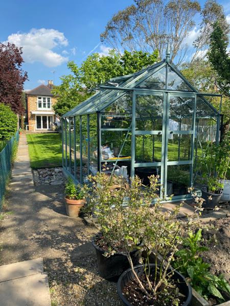 Gorgeous Greenhouse!