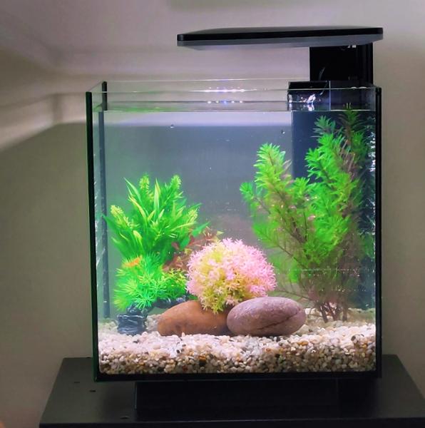 Lovely looking tank