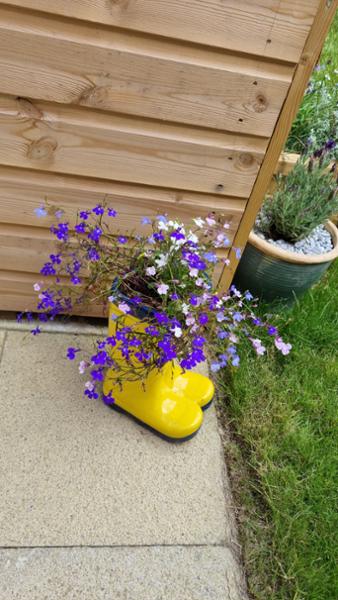 RNLI Yellow Welly Garden Planter Large
