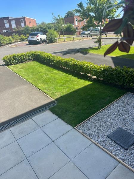 All Rounder Rapid Lawn 5kg