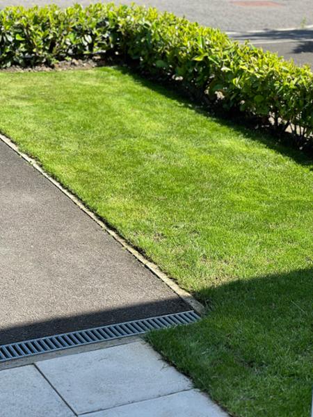 All Rounder Rapid Lawn 5kg