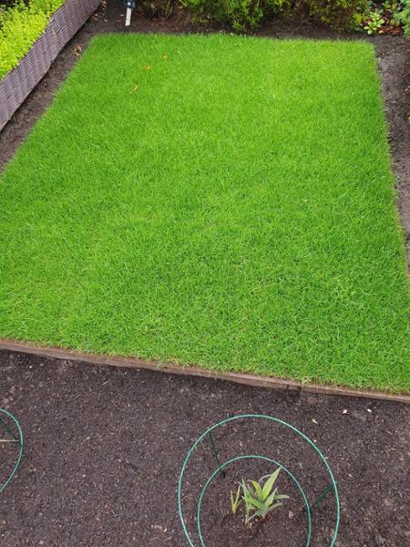 10m2 Rolawn Medallion Turf 1m2 Rolls - Premium Lawn Turf 1m2 rolls from only £5.65 - £11.75