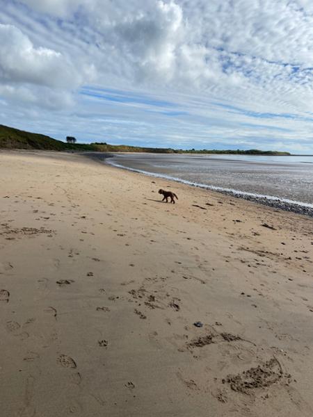 Northumberland Coastal Walk