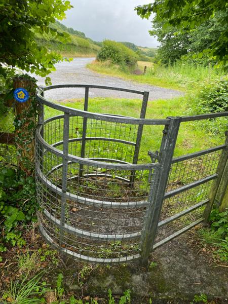 Wales Coadt Path
