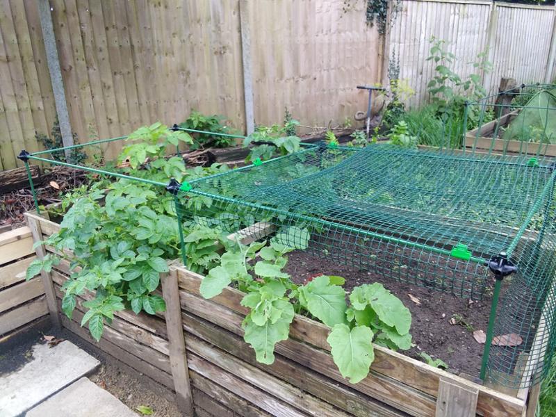 Plant supports and cages