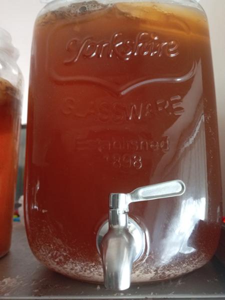 Organic Kombucha Scoby