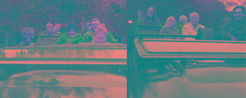 LOVED our safari