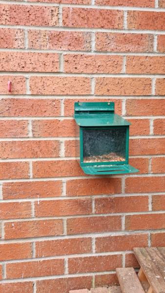 Metal Squirrel Feeder XXL