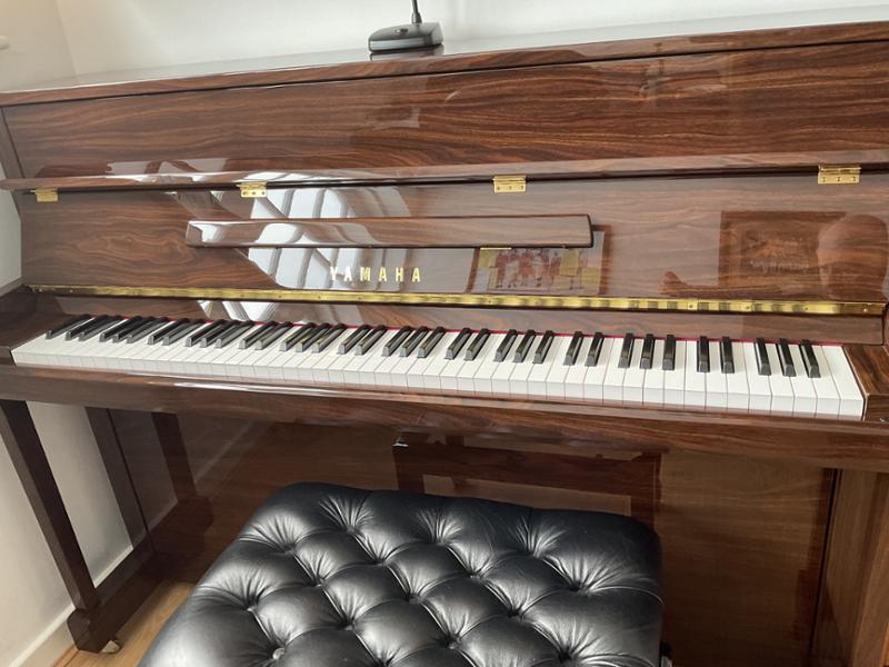 Excellent piano purchasing experience.