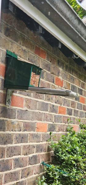 Metal Squirrel Feeder XXL