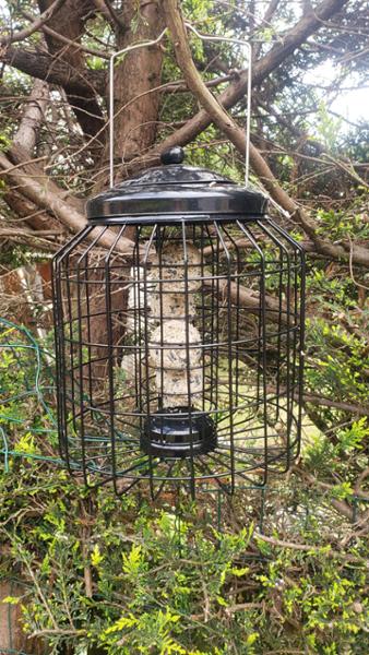 Bird feeder .