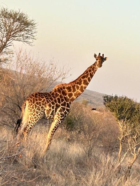 An amazing experience with help from a wonderful travel agent.