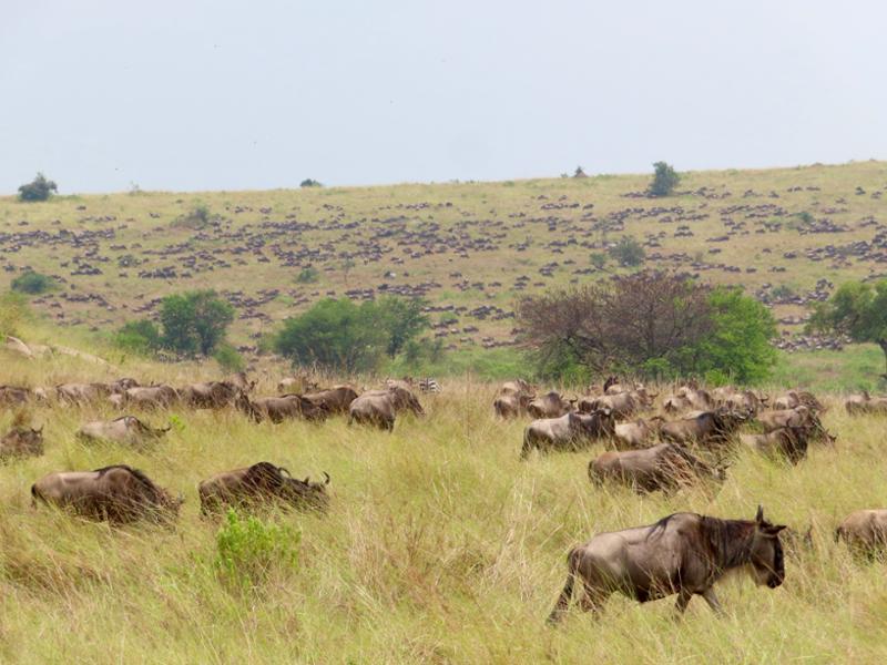 Best safari experience yet!