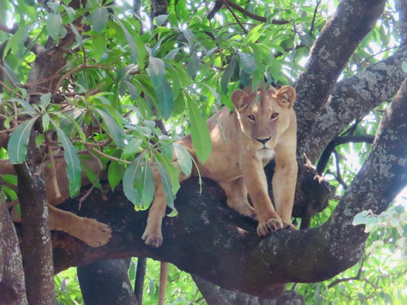 Best safari experience yet!