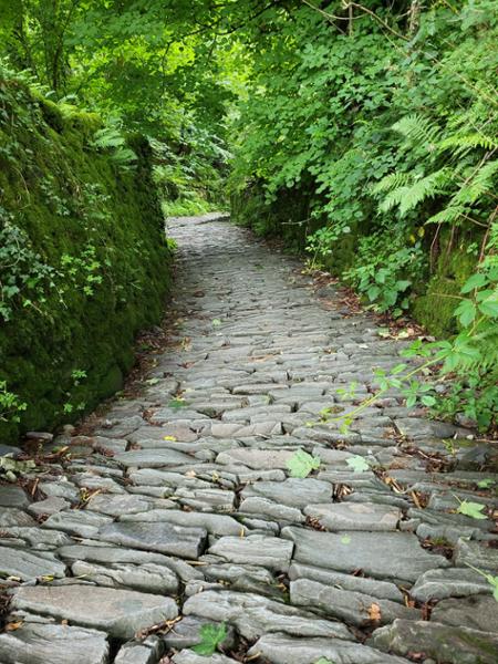 Great landscape with cultural highlights