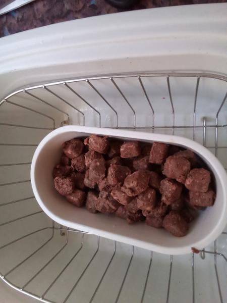 Defrosted raw dog food