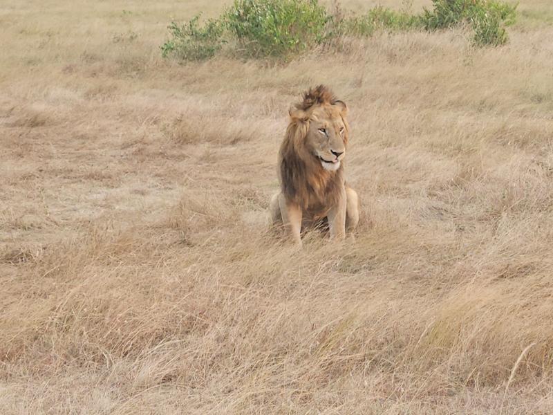 Uganda and Kenya Trip