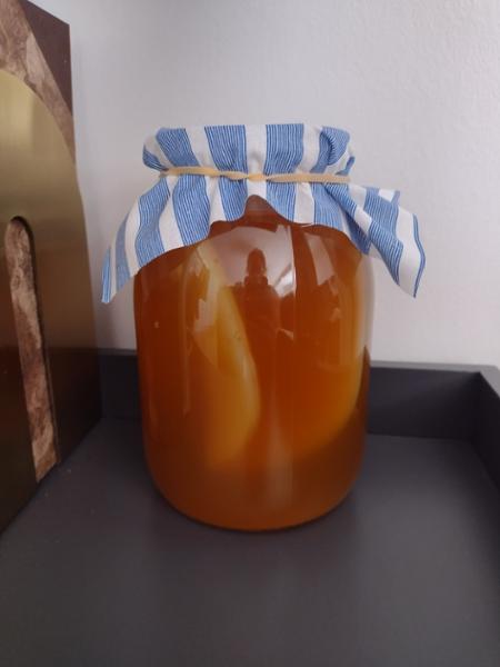 Great way to get started with Kombucha